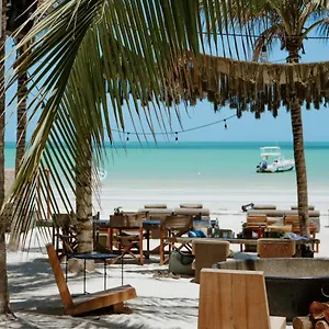 Casa Tortugas Petit & Отель