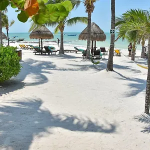 Amaite Isla Holbox